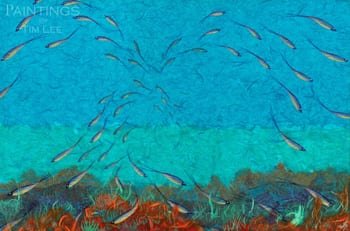 Grazing Fish